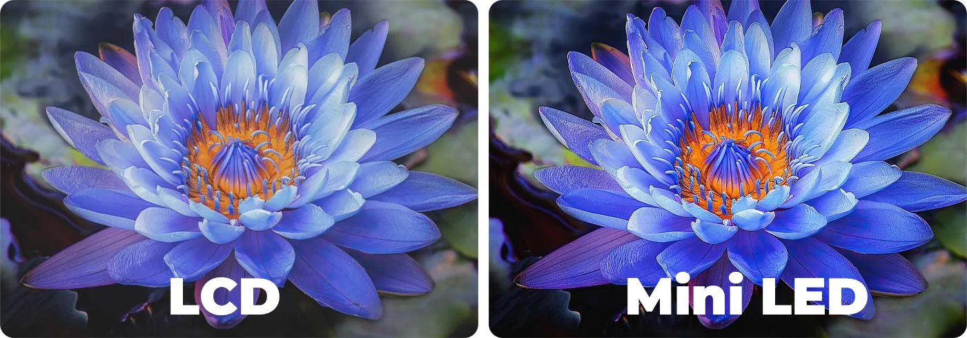 Tivi Xiaomi S55 Mini LED