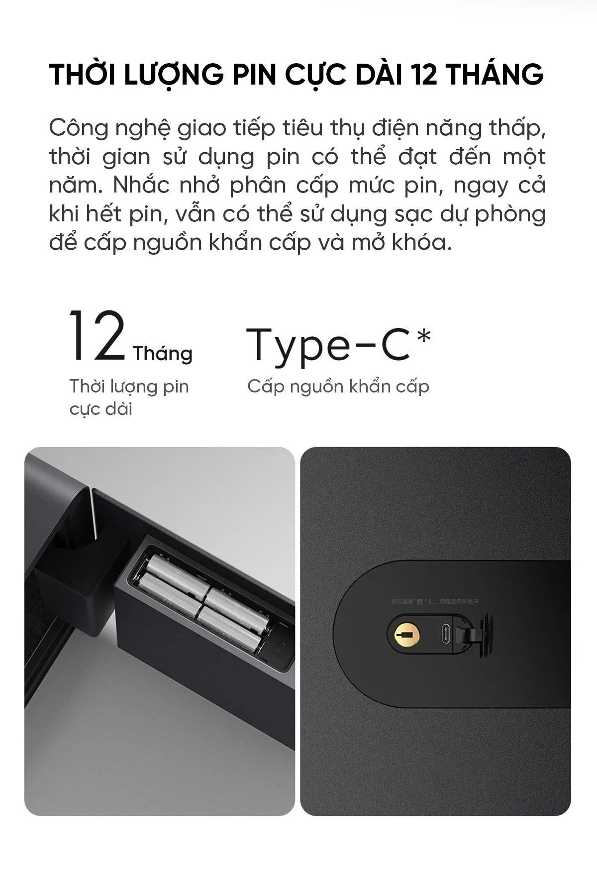 Két sắt thông minh Mijia BGX-5/X1-303