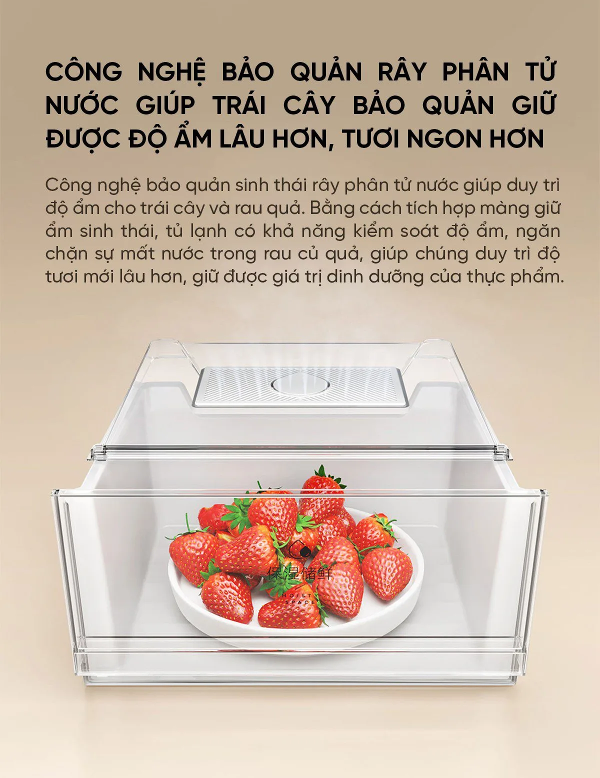 Tủ lạnh Xiaomi Mijia 518L, 4 cửa, có ngăn đông mềm
