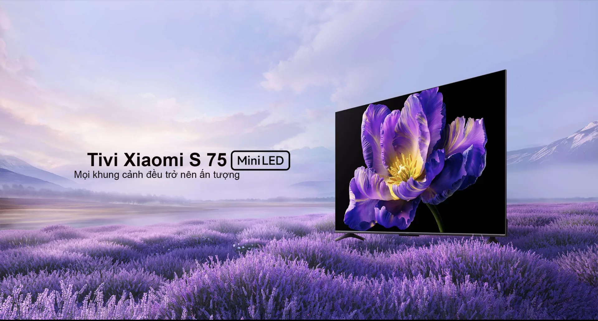 Tivi Xiaomi S75 Mini LED